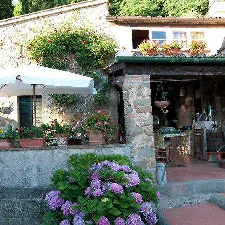 With Pool And Views Over Lucca Hills Matraia